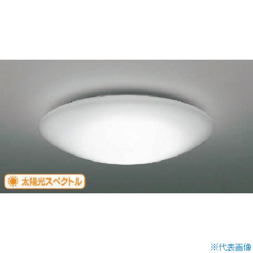 緑であること活動の領域
