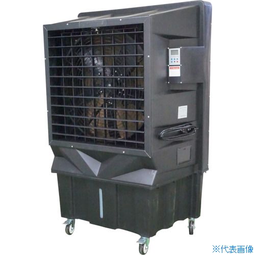緑であること活動の領域