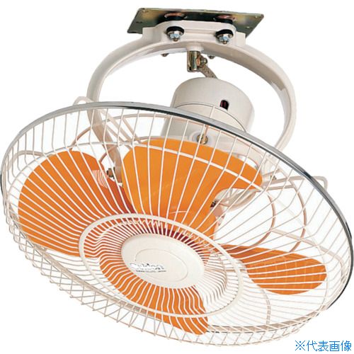 緑であること活動の領域