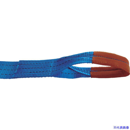 ■TESAC ラッシングベルト(ベルト荷締機)ラチェットバックル式アイタイプ R30E010050A(4214081)