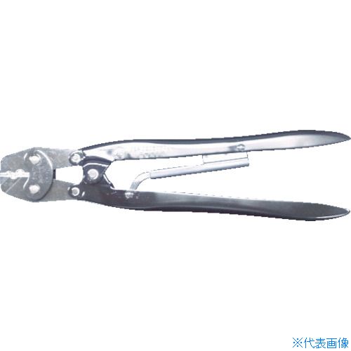 緑であること活動の領域