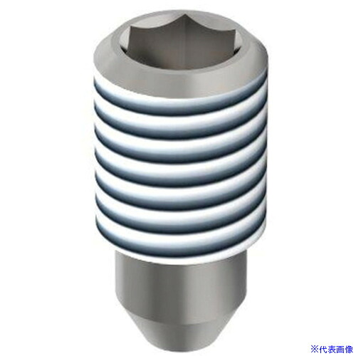 ■KARCHER 超高圧洗浄機アクセサリー Nozzle form 21, Saphir, 0,70mm 6.025222.0(4288756)[法人限定][直送元]｜ファーストFACTORY