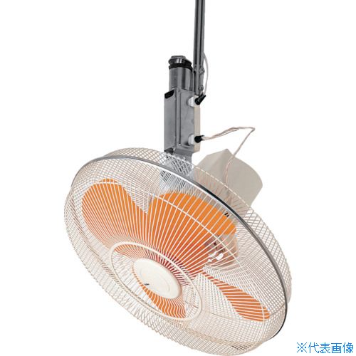 緑であること活動の領域