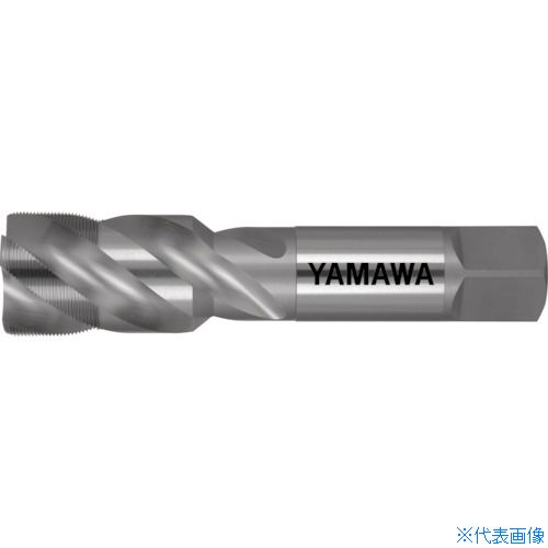緑であること活動の領域