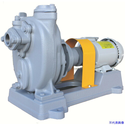 ■TERADA セルプラポンプ 鋳鉄製グランド式 60Hz 0.20kw 全揚程6.0m モーター付 O2G60HZ200VWM(4623479)[法人限定][直送元]｜ファーストFACTORY