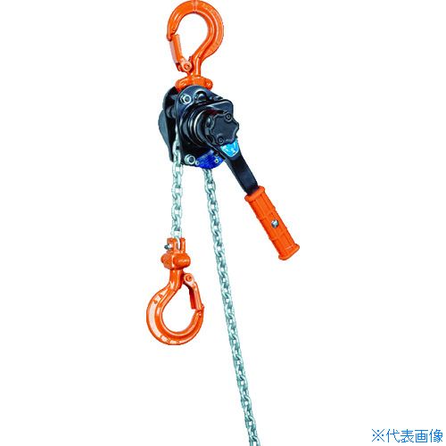 緑であること活動の領域