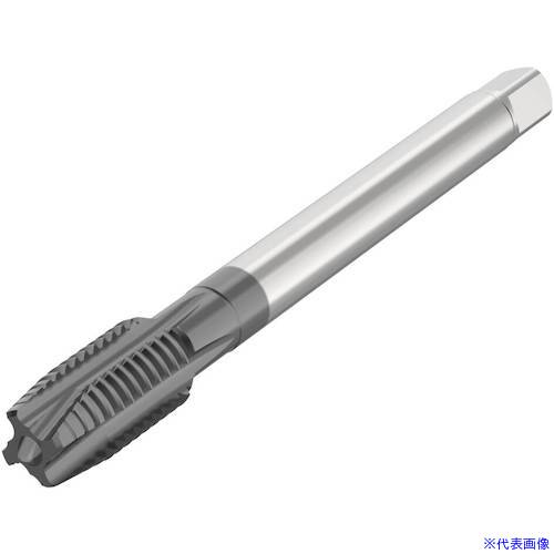 ■セコ タップ MTPM20X2.50ISO6HXTBS002(4887924)[送料別途お見積り][法人限定][掲外取寄]｜ファーストFACTORY