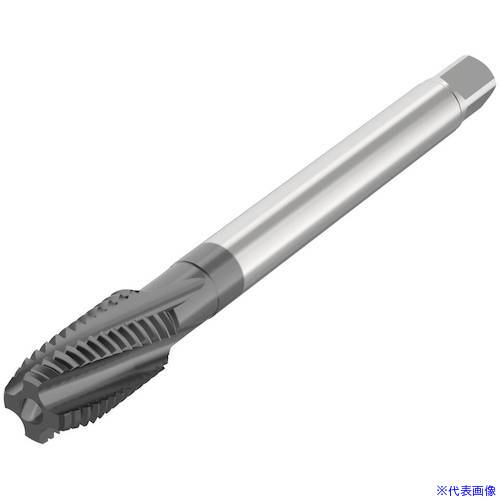 ■セコ タップ MTHM16X2.00ISO6HXBCS102(4887926)[送料別途お見積り][法人限定][掲外取寄] 10,247円