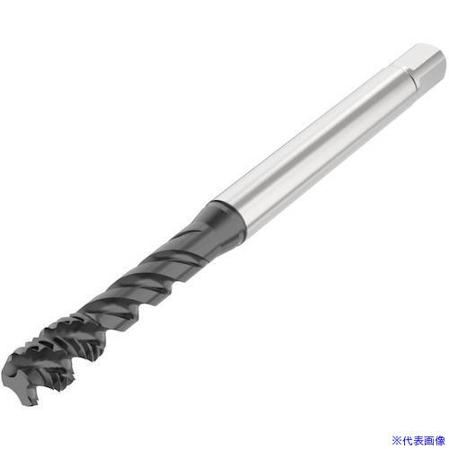 ■セコ ねじ切り工具 T34R45H04E033X0.564R(4895818)[送料別途お見積り][法人限定][掲外取寄]
