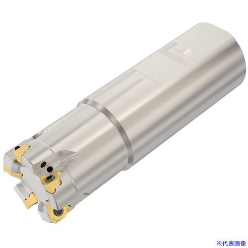 ■セコ フライス スクエア6 カッター R217.963232.3045A(4898816)[送料別途お見積り][法人限定][掲外取寄]