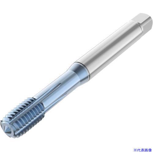■セコ タップ T33FSC02C0310X165R(4909966)[送料別途お見積り][法人限定][掲外取寄]