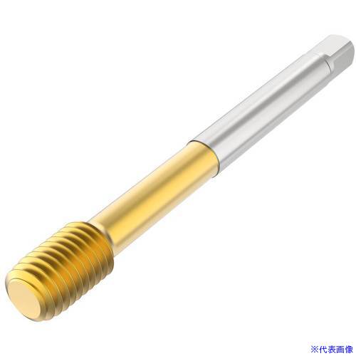 ■セコ タップ T33FN01C0612X1.7565R(4911569)[送料別途お見積り][法人限定][掲外取寄]｜ファーストFACTORY 12,300円