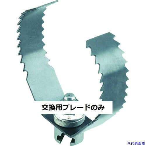 緑であること活動の領域