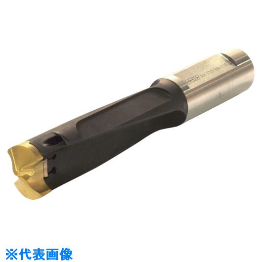 ■イスカル カムドリル ヘッド交換式ドリルホルダ DCM-3.5D DCM12504213B3.5D(5166853)[送料別途お見積り][法人限定][掲外取寄]｜ファーストFACTORY