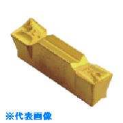 緑であること活動の領域
