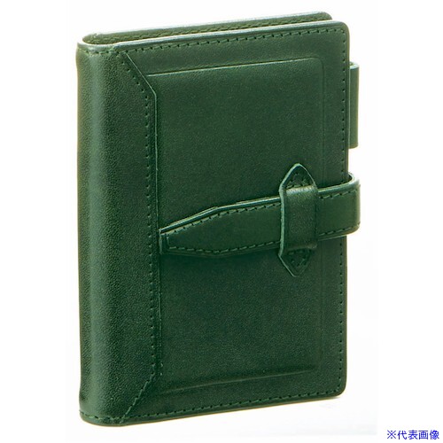 ■レイメイ ダヴィンチシステム手帳ロロマクラシック(ミニ5)11MMグリーン DPM3034M(5204295)[送料別途お見積り][法人限定][掲外取寄]｜ファーストFACTORY