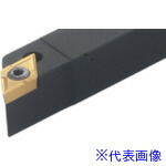 緑であること活動の領域