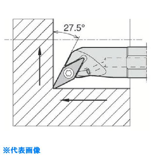 緑であること活動の領域