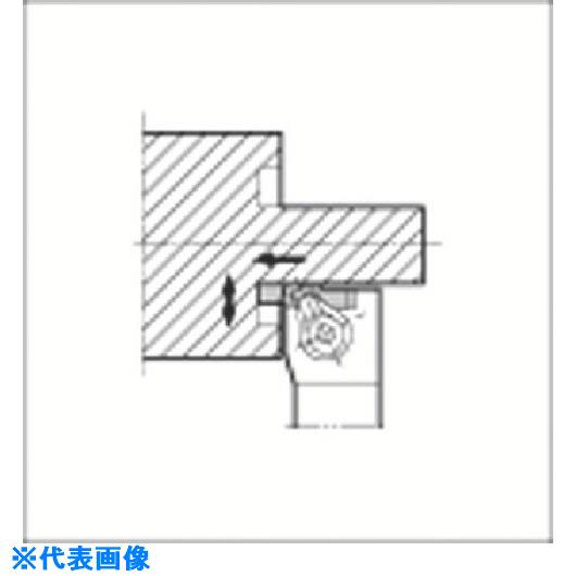 緑であること活動の領域