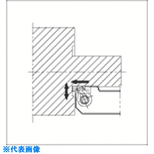 緑であること活動の領域