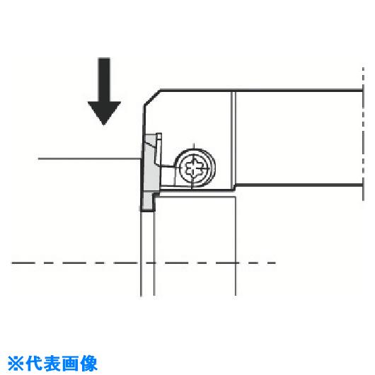 緑であること活動の領域