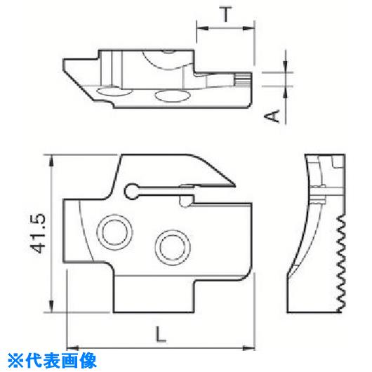 緑であること活動の領域
