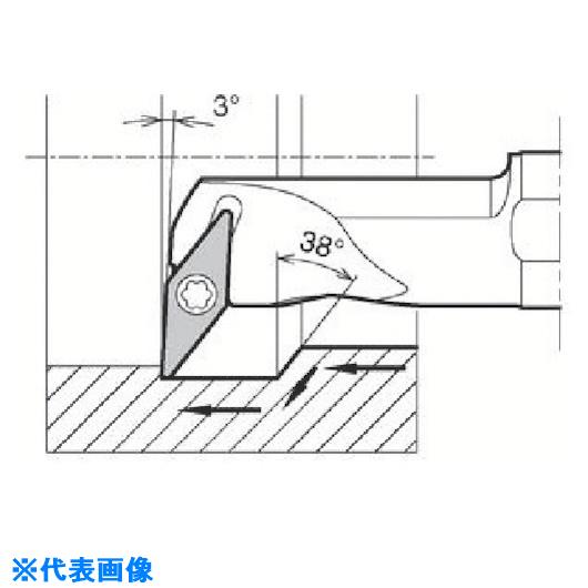 緑であること活動の領域