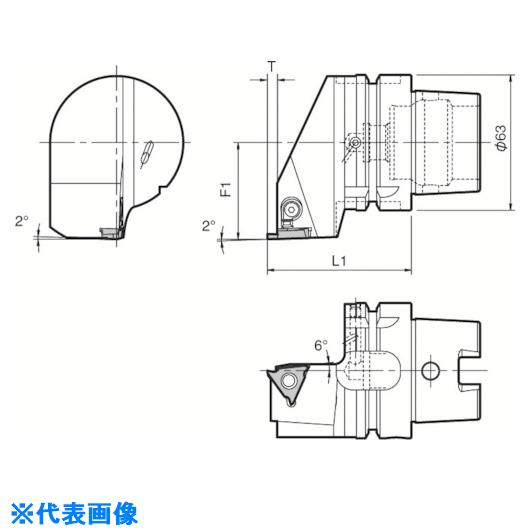 緑であること活動の領域