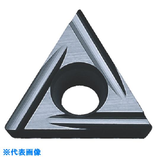 緑であること活動の領域