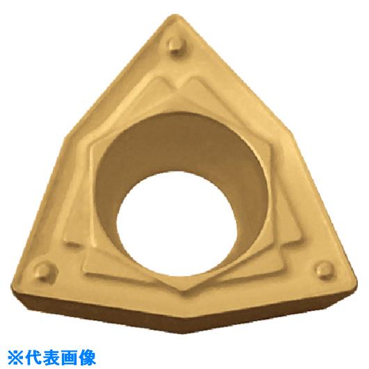 緑であること活動の領域