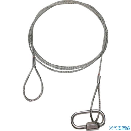 ■共成 落下防止ステンレスワイヤー線径3mm(10本セット)700L 370010S(5579283)[法人限定][直送元]