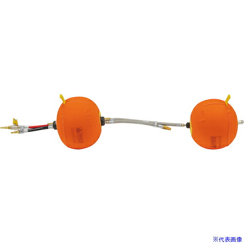 緑であること活動の領域
