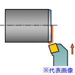 緑であること活動の領域