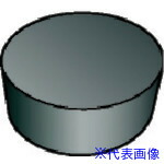 ■SANDVIK T&minus;Max 旋削用ポジチップ(615) 6060 RPGN090300E(6060)(5780535)&times;10[送料別途お見積り][法人限定][掲外取寄]｜ファーストFACTORY