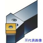 緑であること活動の領域