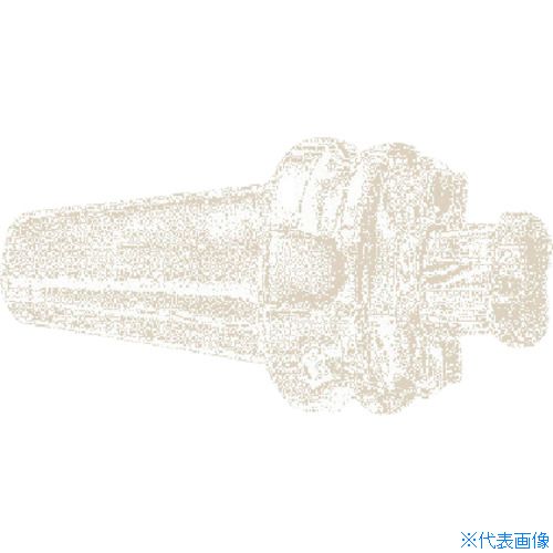 ■イスカル フェースミルホルダー BT－FM BT50FM60X88(6211372)[送料別途お見積り][法人限定][掲外取寄]