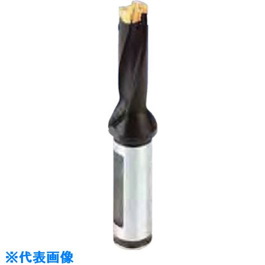 ■イスカル カムドリル ヘッド交換式ドリルホルダ DCM-3D DCM22006625A3D(6213596)[送料別途お見積り][法人限定][掲外取寄]｜ファーストFACTORY