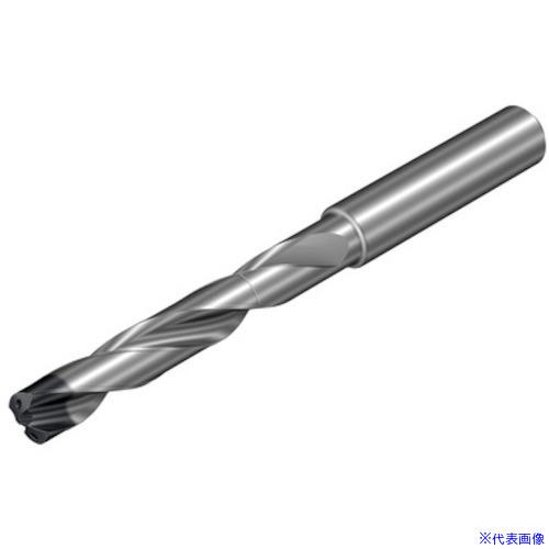 緑であること活動の領域