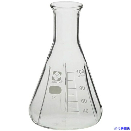 ■SIBATA バッフル付三角フラスコ 100mL 10入 016340100A(6871044)[送料別途お見積り][法人限定][掲外取寄]