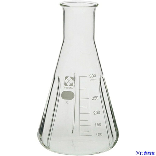■SIBATA バッフル付三角フラスコ 300mL 10入 016340300A(6871051)[送料別途お見積り][法人限定][掲外取寄]