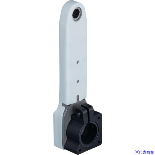 緑であること活動の領域