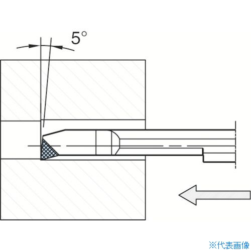 緑であること活動の領域