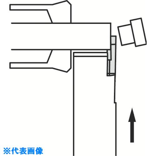 緑であること活動の領域