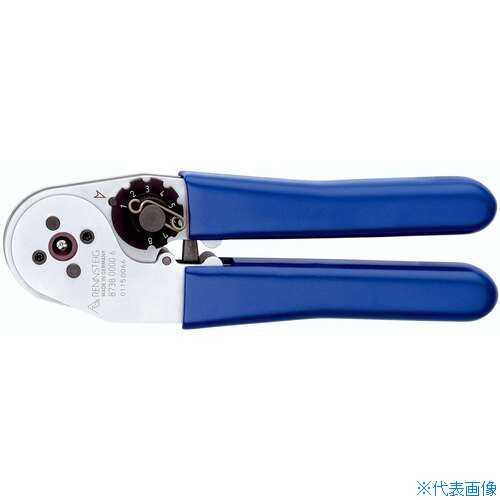 緑であること活動の領域