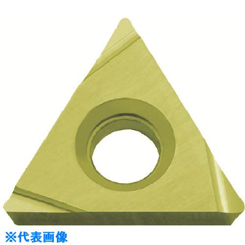 緑であること活動の領域
