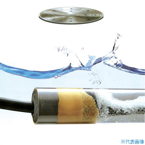 緑であること活動の領域