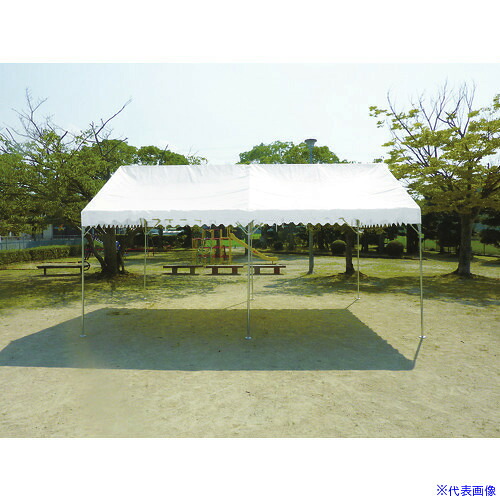 緑であること活動の領域
