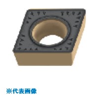緑であること活動の領域