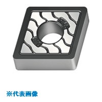 緑であること活動の領域