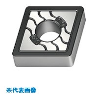 緑であること活動の領域